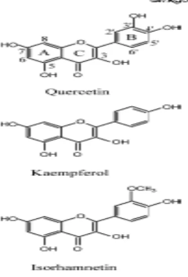 Gambar 2.10: Structure of Quercetin, Kaempferol & Isorhamnetin