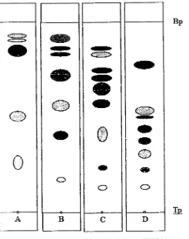 Gambar 5.9 Kromatogmm fraksi n-heksan (FHBL) 