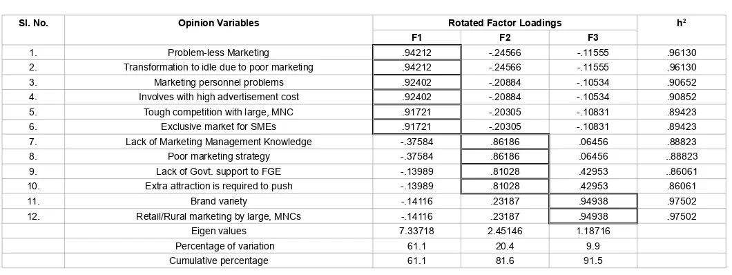 Table 2: Rotated factor matrixes for the marketing problems faced by the respondents.