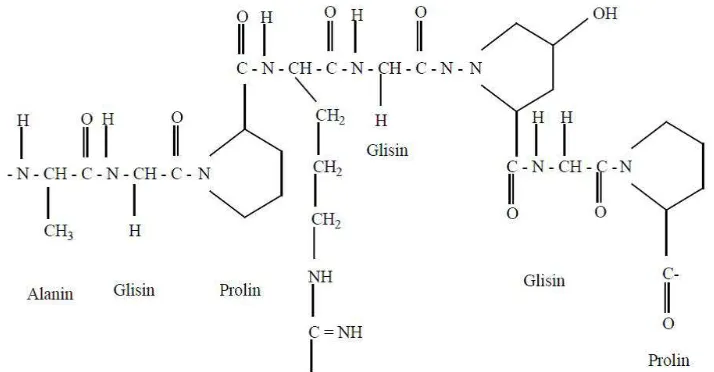 Gambar 2.1 Struktur Kimia Gelatin (Chaplin, 2006) 