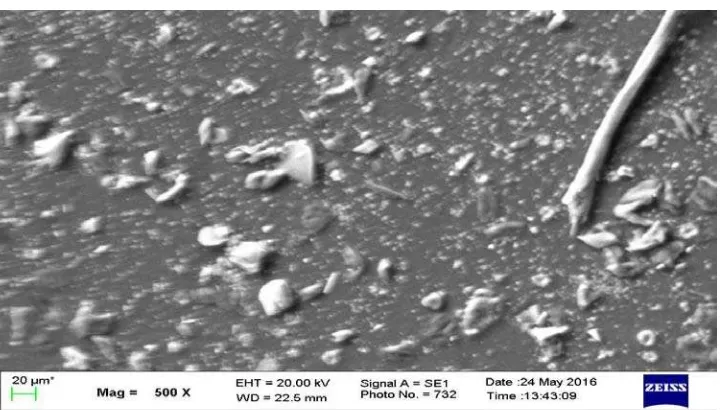Gambar  4.6 Foto SEM Film Gelatin dengan Penambahan Formaldehida dengan 