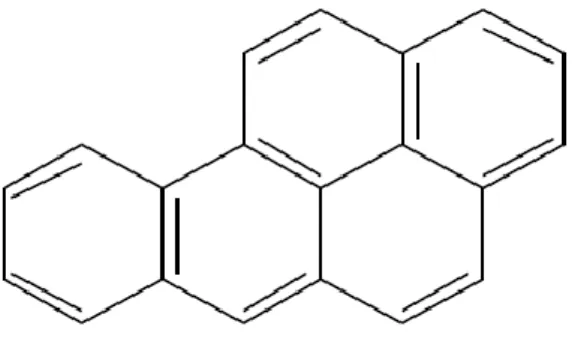 Gambar 1. Struktur Benzo (α) pyren (Mugianton, 2010) 