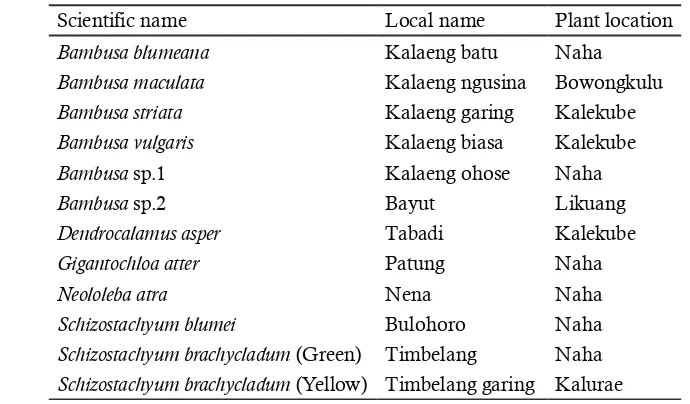Table 1. Species of bamboos, local names, and field source in Sangihe