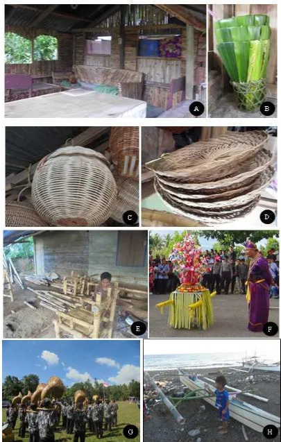 Figure 3. Utilization of Bamboo by Sangirese. A. Bamboo house; B. Sago container; C. basket; D