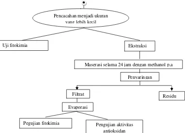 Tabel 1 Hasil uji fitokimia ascidian (Didemnum molle) 