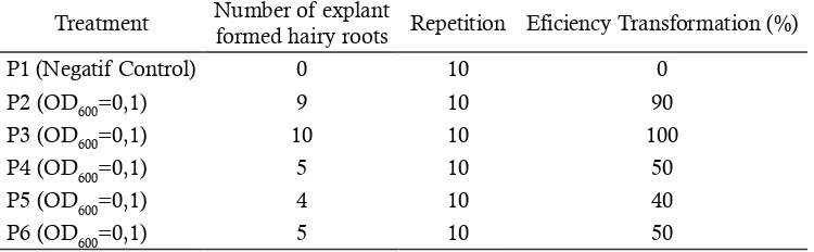 Table 1.various density LB510 for 6 Efficiency transformation of gandarusa leaf explants by Agrobacterium rhizogenes strains of th week (n = 10)