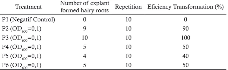 Table 1.various density LB510 for 6 Efficiency transformation of gandarusa leaf explants by Agrobacterium rhizogenes strains of th week (n = 10)