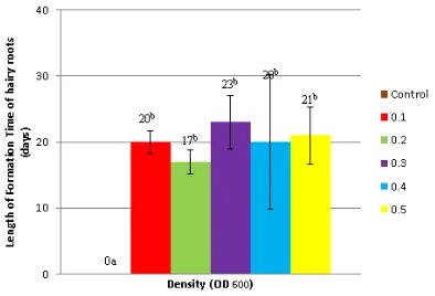 Figure 1.mation time on gandarusa leaf explants by vari-ous densities of  The average length of hairy roots for-Agrobacterium rhizogenes strain LB510.