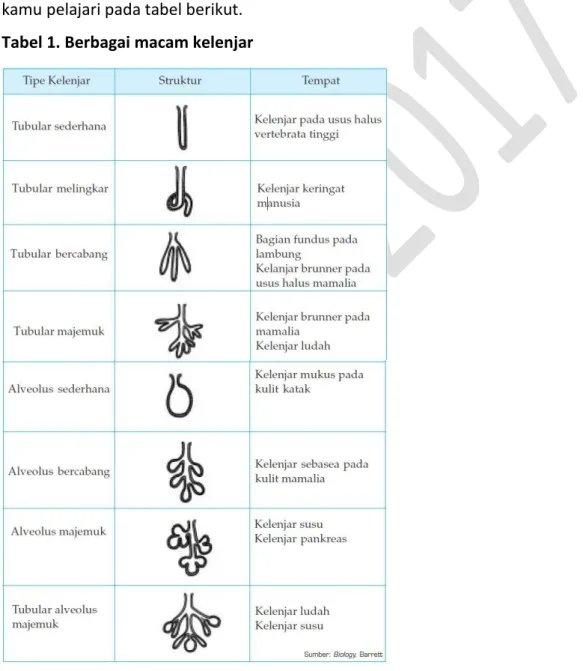 Tabel 1. Berbagai macam kelenjar 