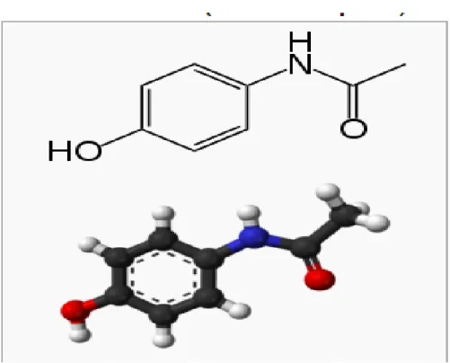 Gambar 2.4. Struktur Kimia Paracetamol ( Basic &amp; Clinical Pharmacology, 2008) 