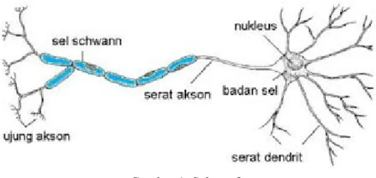Gambar 1. Sel saraf