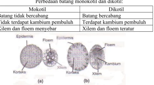 Gambar 4. Anatomi bunga