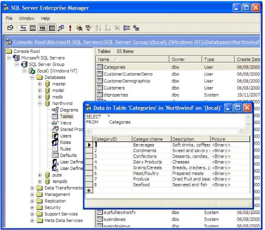 Gambar 10.11.  GUI pada Microsoft SQL Server 