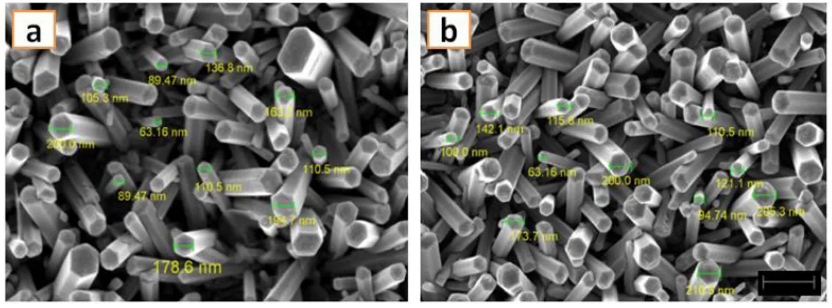 Gambar 1. Hasil pemindaian FESEM (a) nanorod ZnO murni   (b) Nanorod ZnO doping Al 2% dengan perbesaran 30.000 X 