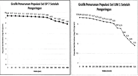 Grafik Penurunan Populasi Sel UM 1 Setelah Pengeringan 