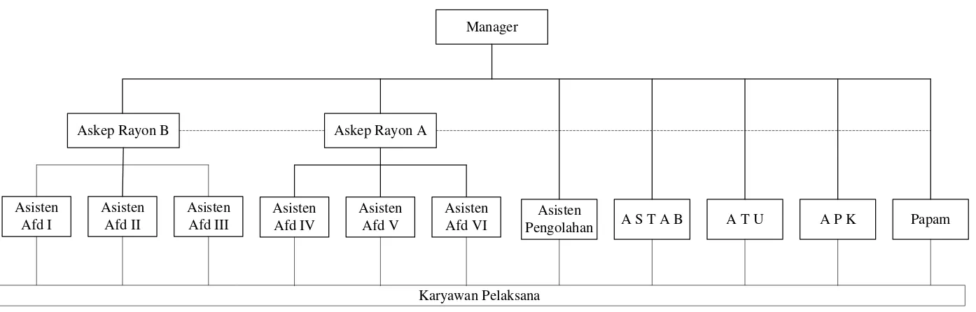 Gambar 2.2. Struktur Organisasi PT. Perkebunan Nusantara III Kebun Rantau Prapat 