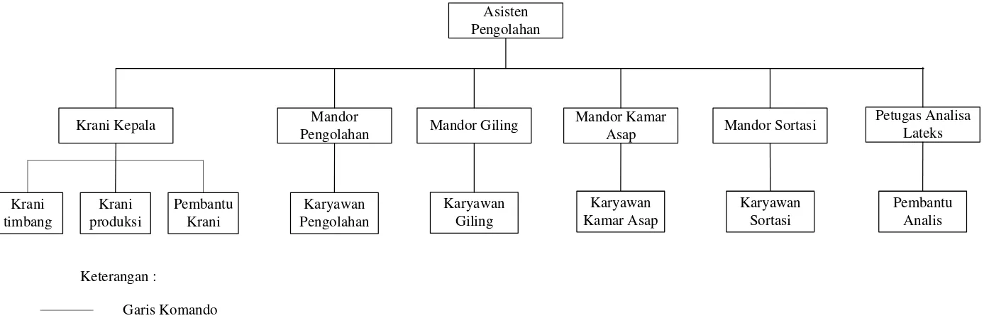 Gambar 2.3. Struktur Organisasi Pabrik Pengolahan Karet PT. Perkebunan Nusantara III Kebun Rantau Prapat