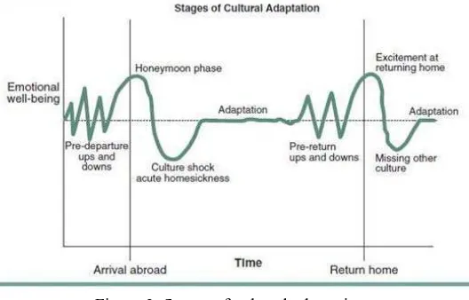 Figure 3. Stages of cultural adaptation 