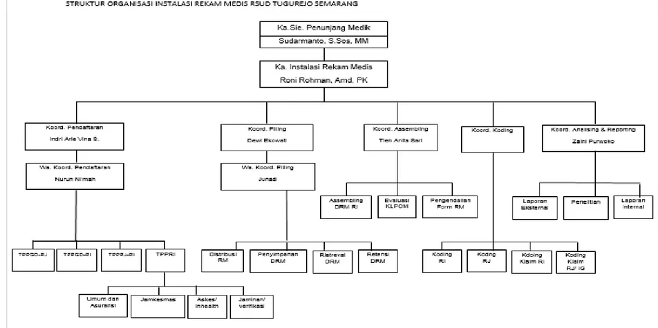 Gambar 4.2 : Struktur Organisasi IRM RSUD Tugurejo
