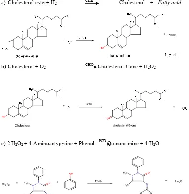 Gambar 1.ReaksiMetode CHOD-PAP(DiaSys, 2014; Allain et al, 1974) 