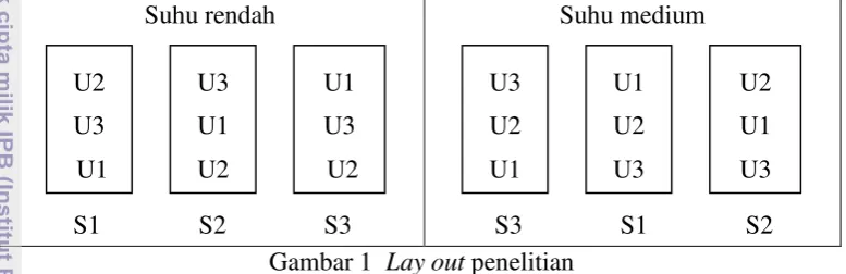 Gambar 1  Lay out penelitian 