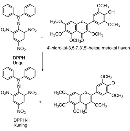 Gambar 7. Reaksi DPPH dengan 4 ' -hidroksi-3,5,6,7,3 ' ,5 ' -heksametoksi flavon 