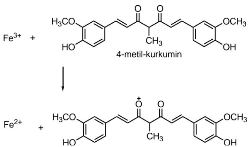 Gambar 8. Reaksi reduksi ion feri menjadi ion fero oleh 4-metil-kurkumin 