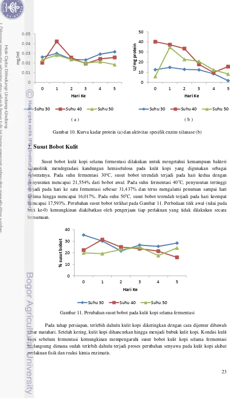 Gambar 10. Kurva kadar protein (a) dan aktivitas spesifik enzim xilanase (b) 