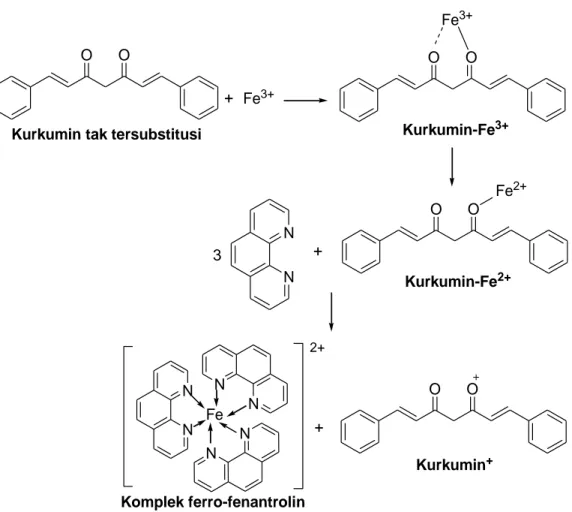 Gambar 13. Reaksi reduksi ion ferri oleh turunan kurkumin (Wuryantoko dan Margono,  1997) 