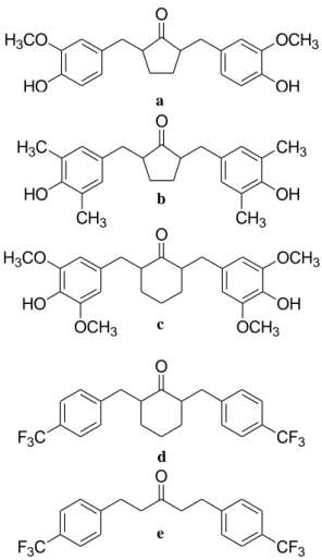 Gambar 1. Struktur analog kurkumin: THPGV-0 (a), THPGV-1 (b) , THHGV-5 (c),  THHGV-7 (d), THC7 (e) 