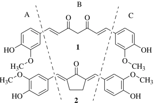 Gambar 1. Pembagian farmakofor pada kurkumin 1 dan analog PGV-0 2 (Da’i et al., 2006) 