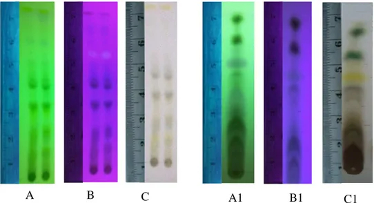 Gambar  Profil  kromatogram  ekstrak  kasar  metanol  dan  fraksi  n-heksan,    profil  KLT- KLT-bioautografi dapat dilihat pada Gambar 2 dan 3