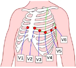 Gambar 1.3. Letak sandapan EKG 
