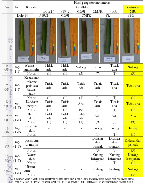 Tabel 3 Deskripsi karakteristik bagian daun enam varietas nenas (Lanjutan). 