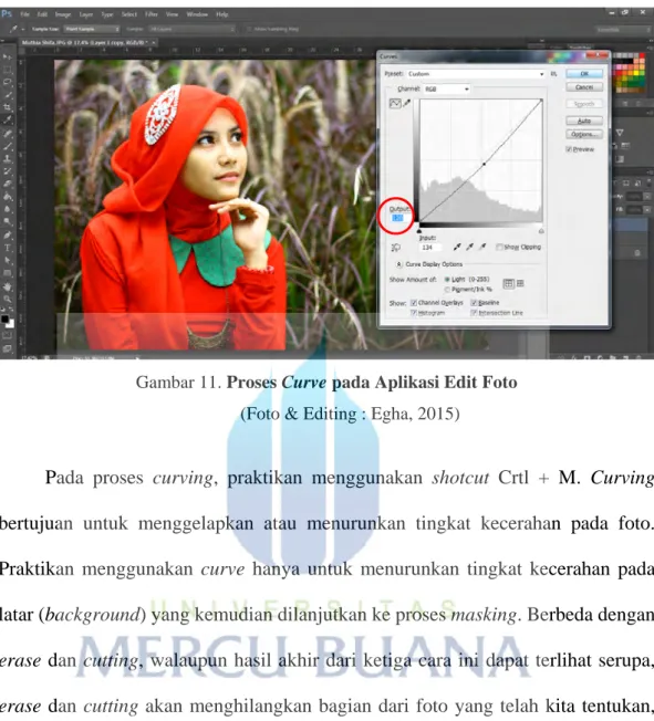 Gambar 11. Proses Curve pada Aplikasi Edit Foto (Foto &amp; Editing : Egha, 2015) 