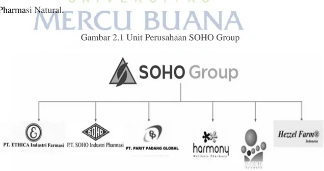 Gambar 2.1 Unit Perusahaan SOHO Group 