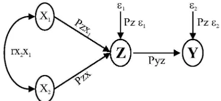 Gambar 2 Paradigma Hubungan Struktural antara X1, X2, Z, dan Y