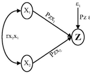 Gambar 4 Paradigma Hubungan Struktural antara Z dengan YMenggambarkan Hipotesis ke Dua