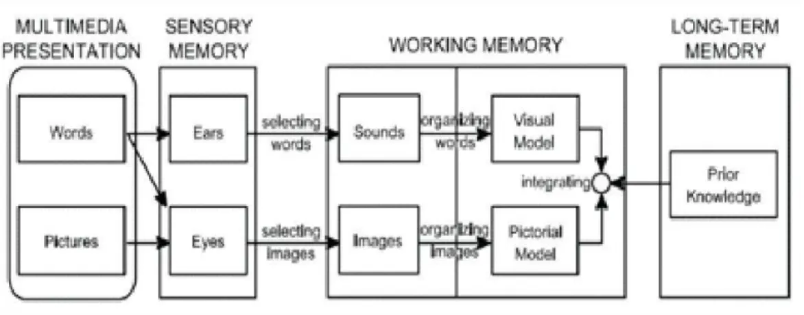 Gambar  1.1  Teori  Kognitif  dalam Pembelajaran  Berbantuan  Multimedia  (Mayer,  2009 :  68) 