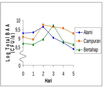 Gambar 2.  Total bakteri asam laktat selama fermentasi 