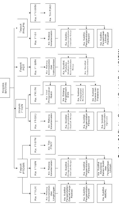 Gambar 2.1 Struktur Organisasi Proteksi Radiasi BATAN