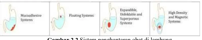 Gambar 2.2 Sistem penghantaran obat di lambung 