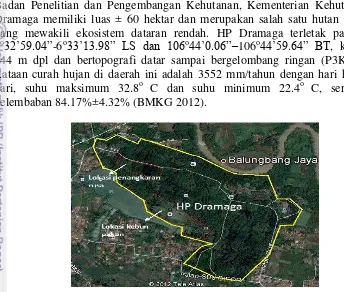 Gambar 1. Lokasi Hutan Penelitian (HP) Dramaga, Bogor 