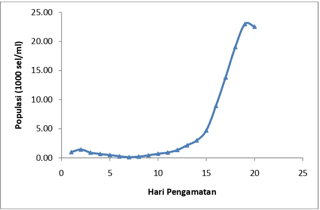 Gambar 1. Grafik Rata-rata Pertumbuhan Spirulina sp (sel/ml)