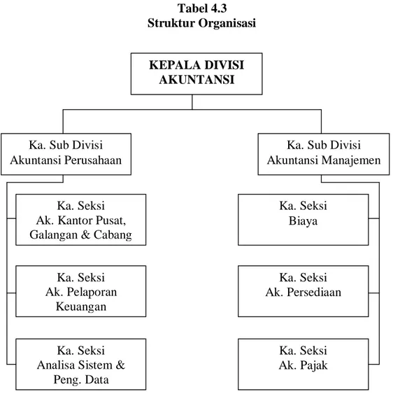 Tabel 4.3  Struktur Organisasi 