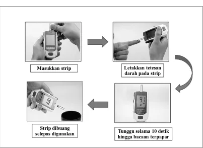 Gambar 4.1 Set Glukometer 