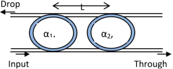 Gambar 7  Struktur parallel cascaded microring resonator [2]