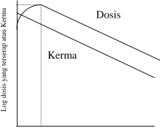Gambar 6. Hubungan antara Kerma dengan Dosis Radiasi Foton                      Dan Netron-Netron Cepat 