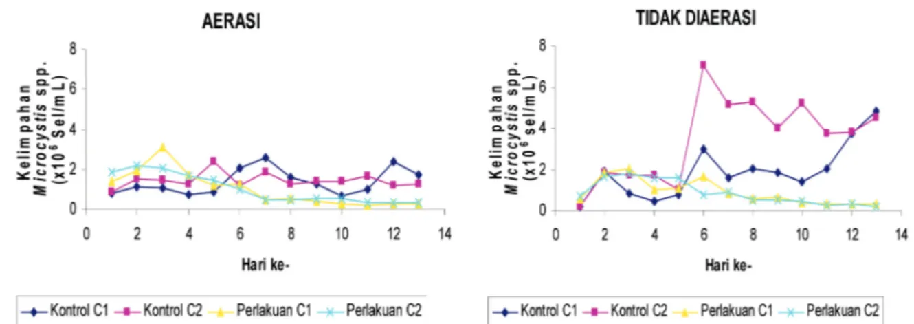 Gambar 1.  Perbandingan pola pertumbuhan populasi Microcystis kontrol dan perlakuan (tanpa dan dengan penambahan konsorsium  bakteri pereduksi nitrat) dengan perbedaan intensitas cahaya inkubasi (Keterangan: C1= intensitas cahaya 2–3 klux; C2 = intensitas 