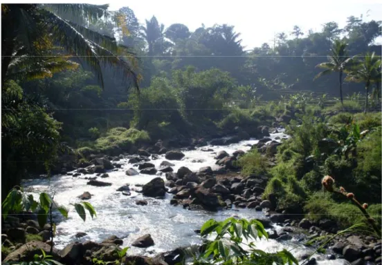 Gambar 6. Ekologi Desa Ciasmara: Aliran Sungai Parabakti. 